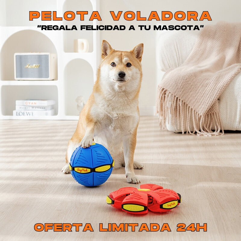 PET ROCKET™ - 🐾 REGALA FELICIDAD A TU MASCOTA