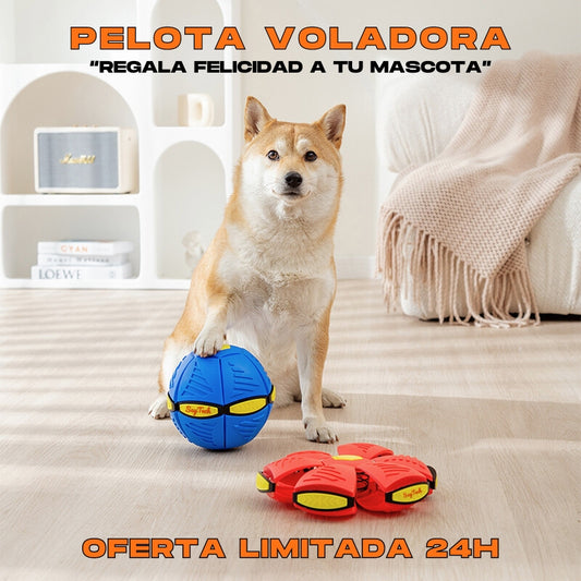 PET ROCKET™ - 🐾 REGALA FELICIDAD A TU MASCOTA